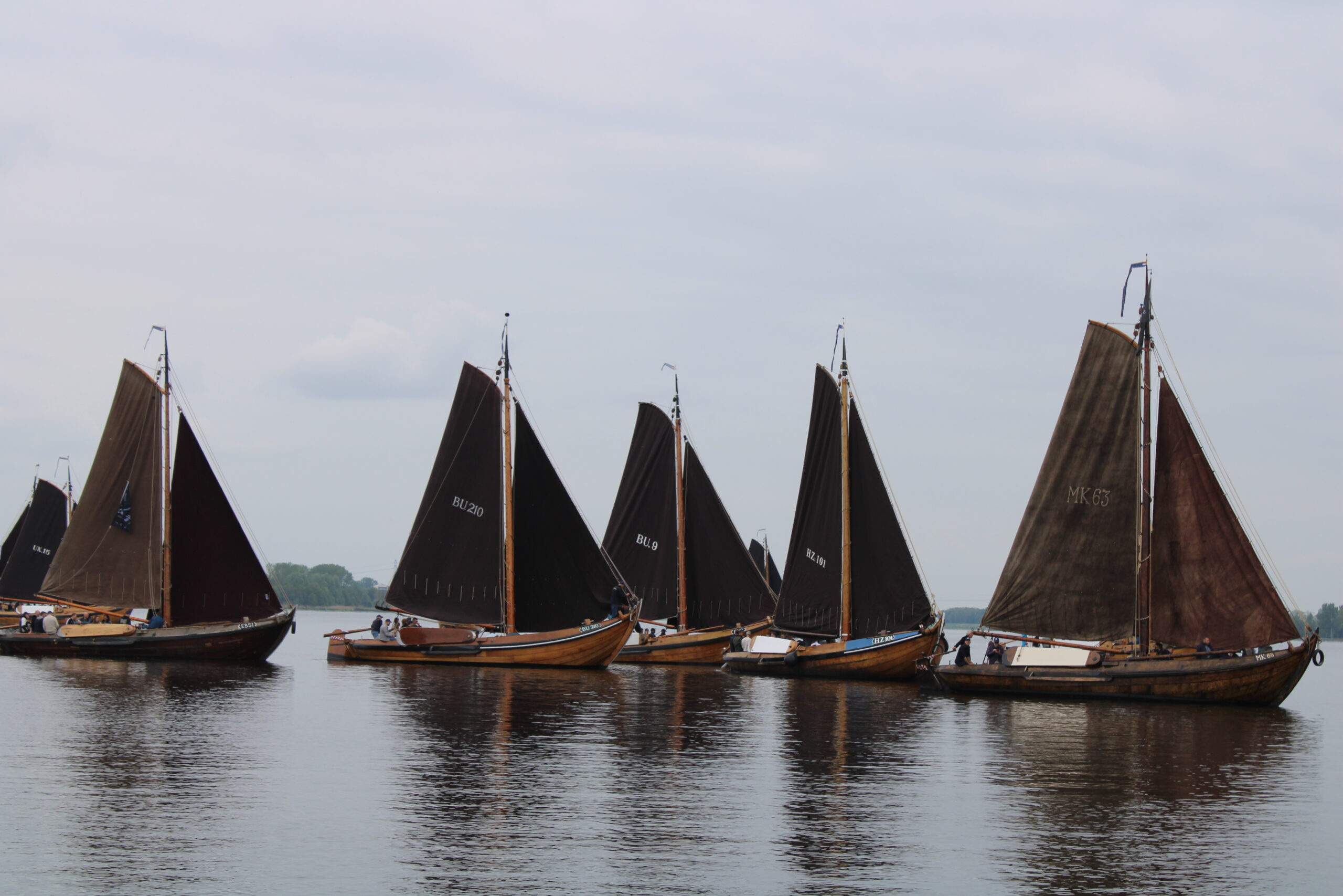 Genieten tijdens de Blauwe Botter Race 2024