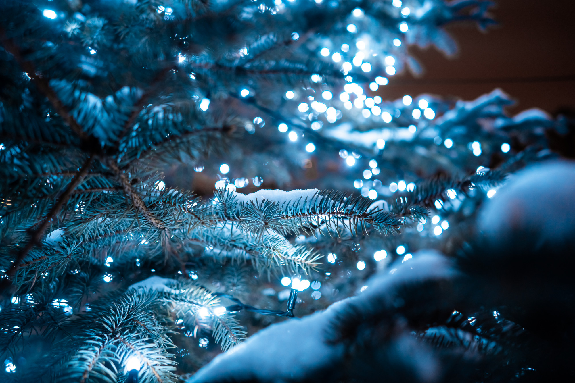 SV Spakenburg wenst iedereen fijne kerstdagen!
