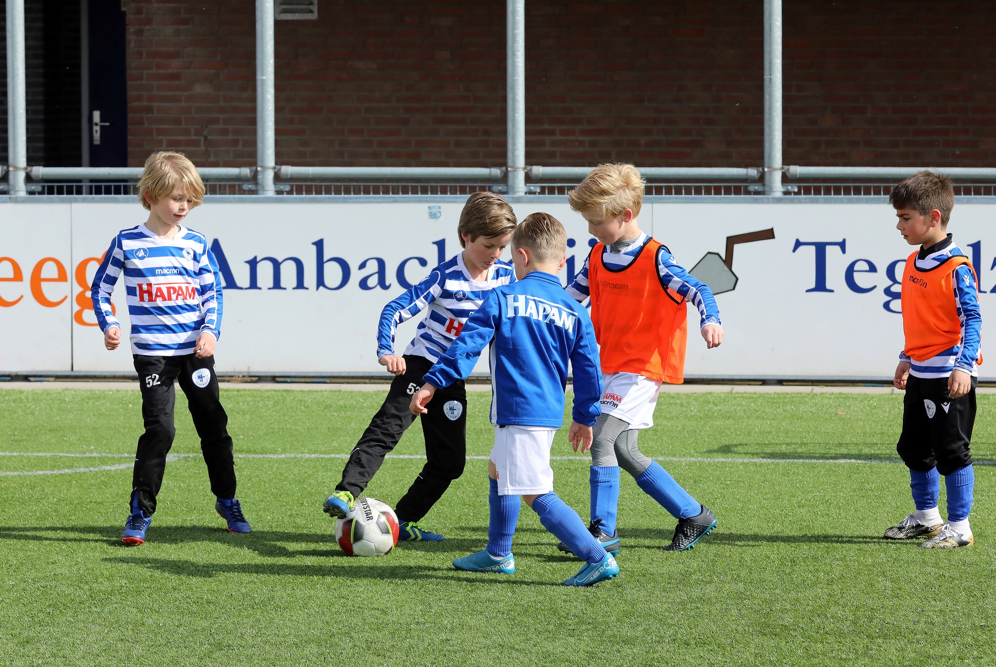 Blauwe ukkie dagen in juni en juli