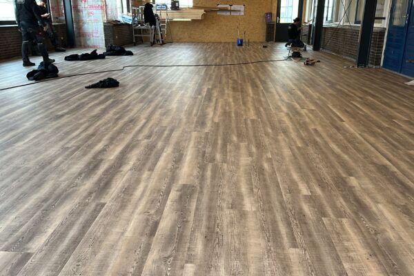 WhatsApp Image 2026-01-10 at 12.28.51